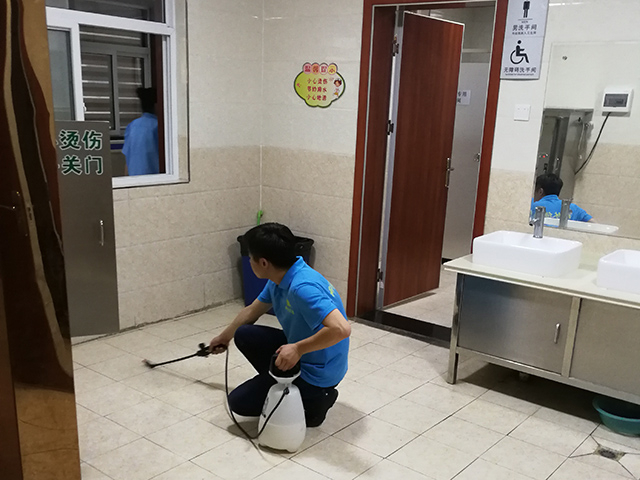 说到对人威胁最大的虫子-虫子里边的王者白蚁