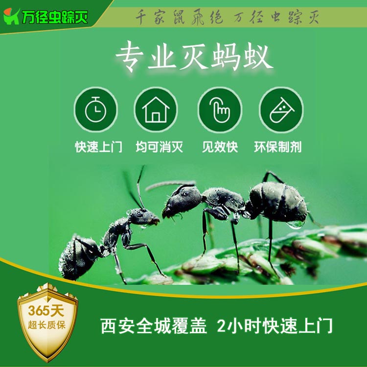 1、灭蚂蚁首图微信图片_20221207143919.jpg